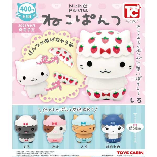 ねこ3点 ねこぱんつ 全5種セット 【2026年9月予約/コンプリート】 : F&S - 通販