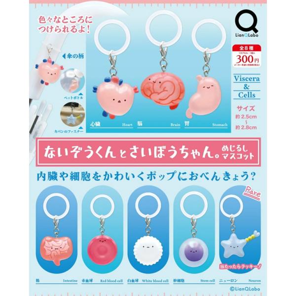 ないぞうくんとさいぼうちゃん。 めじるしマスコット 各種 【2026年10月予約】