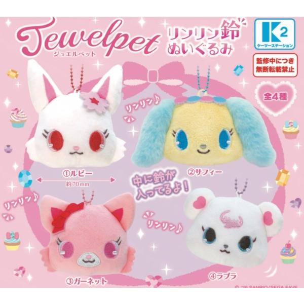 fs4869_3811keik5