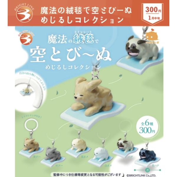 魔法の絨毯で空とびーぬ めじるしコレクション 全6種セット 【2027年1月予約/コンプリート】