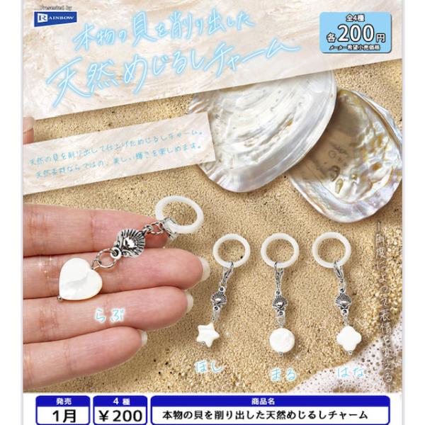 本物の貝を削り出した天然めじるしチャーム 全4種セット 【2027年1月予約/コンプリート】