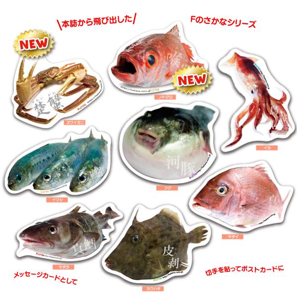 Fのさかなポストカード