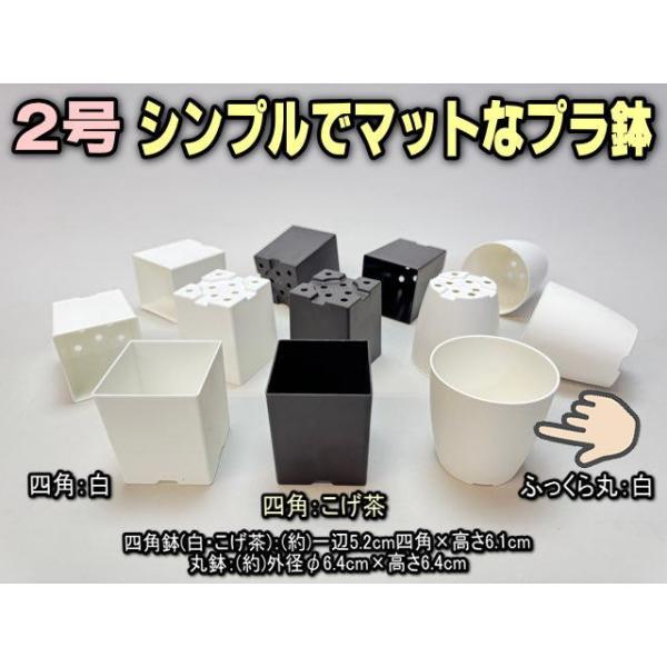 M&M 2鉢購入専用 マシス M&M 植木鉢 【公式通販】