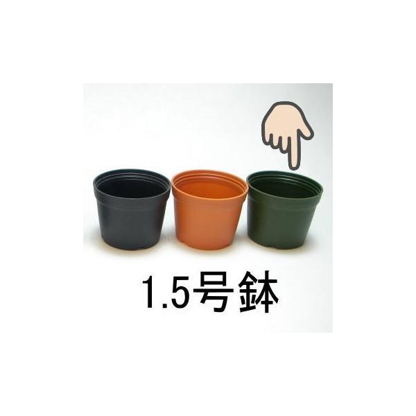 1.5号プラ鉢-緑 超ミニサイズ 1個売り[1-7B] : フラワーショップ江口