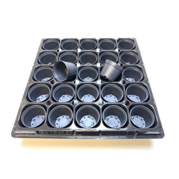 fseguchi_fse-15tyh25-b