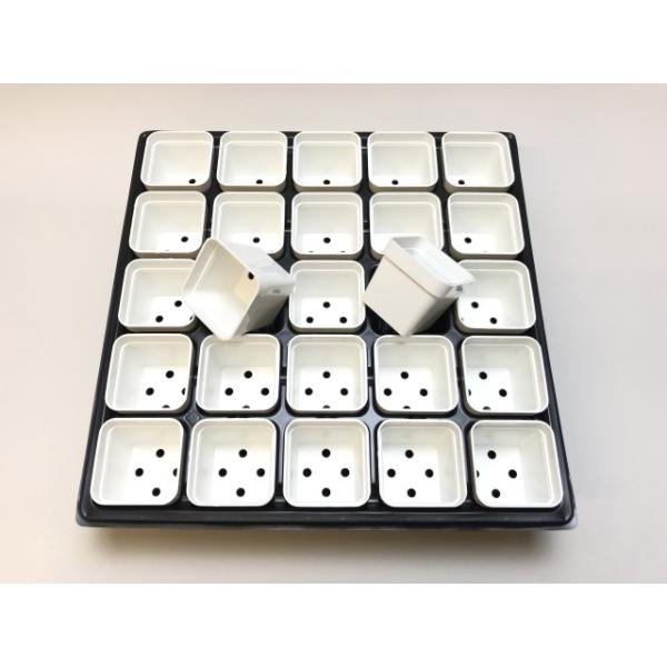 1.7号プラ鉢ぴったり整理トレイ-薄(ソフト)＋1.7号四角プラ鉢-白