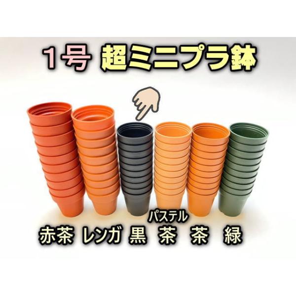 1号プラ鉢-黒 超ミニサイズ 1個売り[1-7B] : フラワーショップ