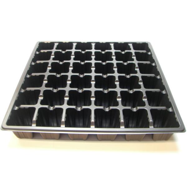 fseguchi_fse-1gty