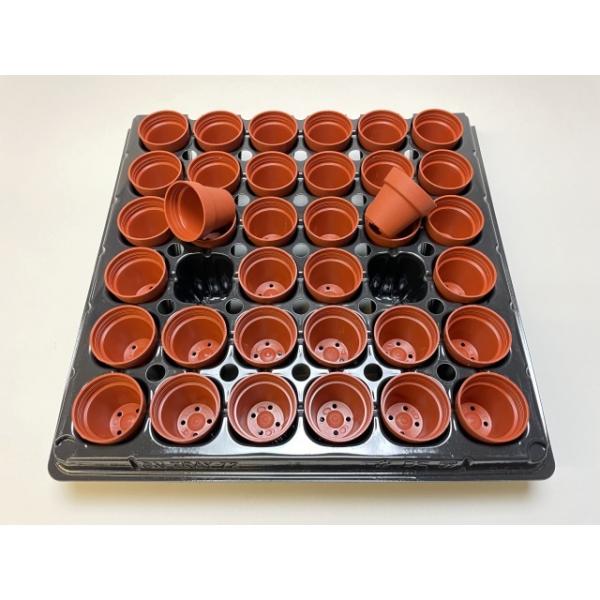 一寸鉢にぴったりなトレーセット72穴1セット