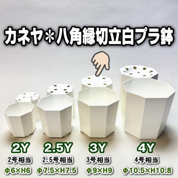 ⬛オシャレで⬛素敵な８角切子グラス付⬛【2ステージ演出素敵な銀彩白長皿】４組 Glass Gallery SUMITO｜ガラス作品の魅力で、生活にアクセントを