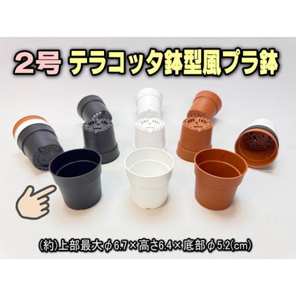 テラコッタ鉢型風プラ鉢-2号-黒※【黒-超ミニ】[2GB] : フラワー