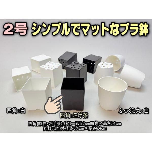 シンプルでマットなプラ鉢2号こげ茶-四角 1個売り※ロットにより黒に
