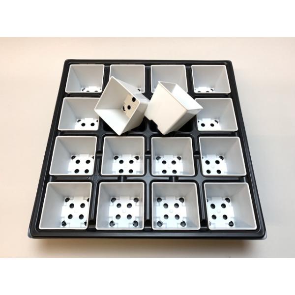 fseguchi_fse-2tys16-2sqw