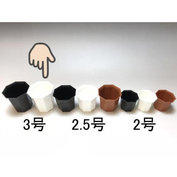 fseguchi_fse-3go8hw