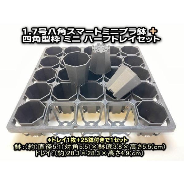 ミニ鉢植用ポット　６種類セット 6cmポットや1.7号鉢用四角型枠トレイハーフハーフ：5×5=25鉢用＋1.7号