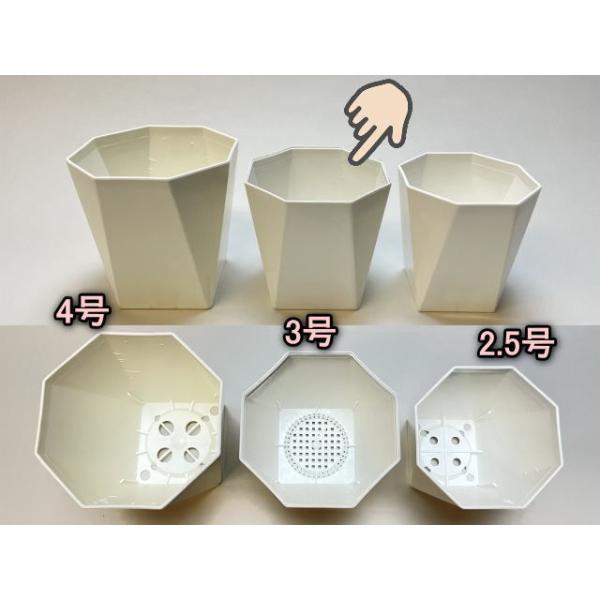 fseguchi_fse-84kaku30 fseguchi_fse-84kaku30