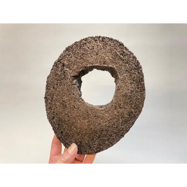 fseguchi_fse-air-slice02