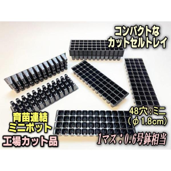 【問い合わせ】セルトレー fseguchi_fse-cutsel-48