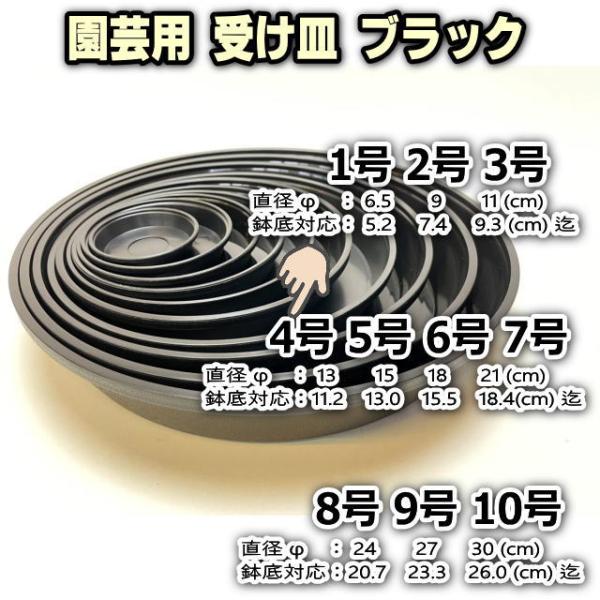 fseguchi_fse-hzs-b-4