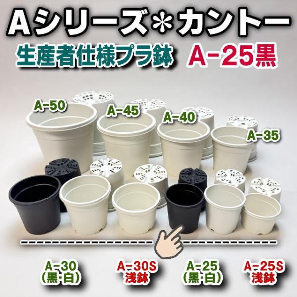 生産者仕様[カントー]○プラ鉢A-25-(2号相当)-黒[定番外]※汚れに見える