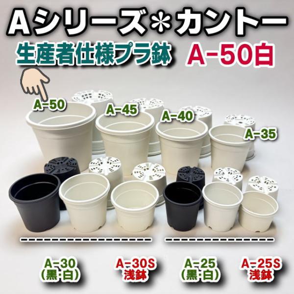 生産者仕様[カントー]プラ鉢A-50-白※黒インク状の付着が有ったりします