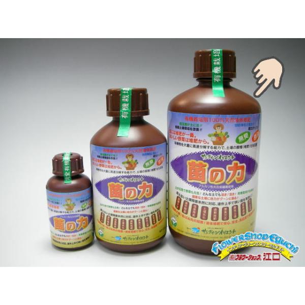 光合成細菌 バイオテラ【光合成細菌・紅色非硫黄細菌群】bio tera