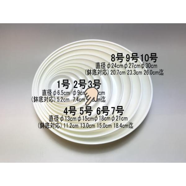 受皿-5号白(φ約15cm×高さ2.4cm)鉢皿※鉢底直径φ13.0cm迄の鉢が