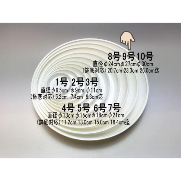 鉢皿 fseguchi_fse-mnd9