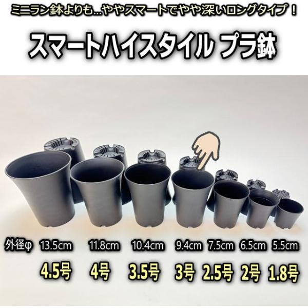 スマートハイスタイル3号【中：φ9.4cm】プラ鉢-黒＊底穴確認済