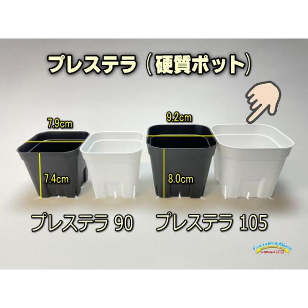 プレステラ ポット 鉢 ポリ鉢スリット鉢　105型　ホワイト　多肉　200個入り プレステラ ポット 鉢 ポリ鉢スリット鉢 105型 ホワイト 多肉 200個