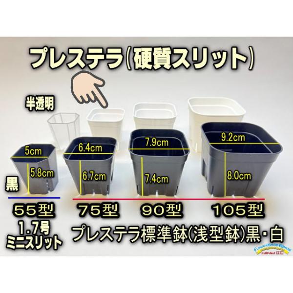 プレステラ 通常型 黒 75 スリット入りプラ鉢 10個セット