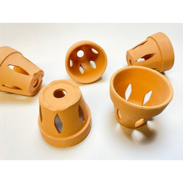 fseguchi_fse-s010