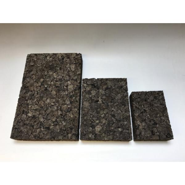 ナゴラン　7株　コルク板付 fseguchi_fse-s084iall-m