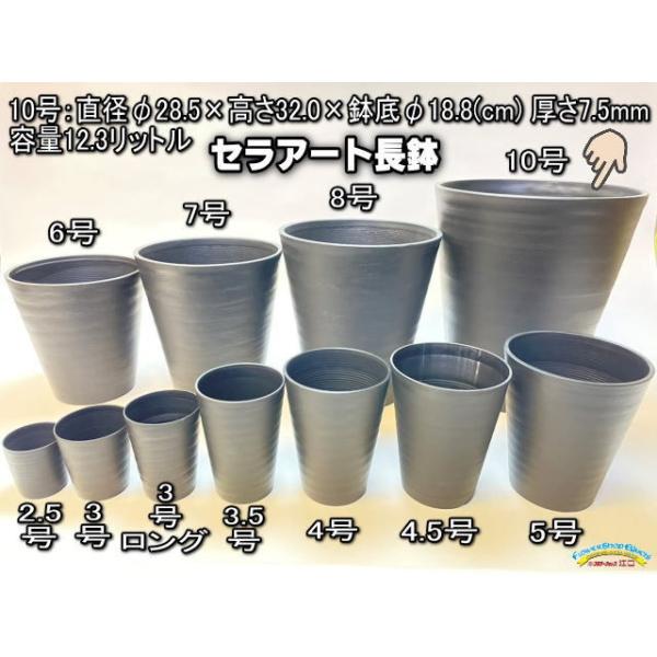 セラアート長鉢-10号/10寸(尺鉢)-黒(陶器風プラ鉢)＠多肉植物・塊根