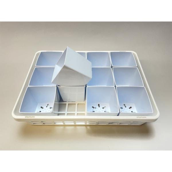 fseguchi_fse-t002hw-sq35godmw