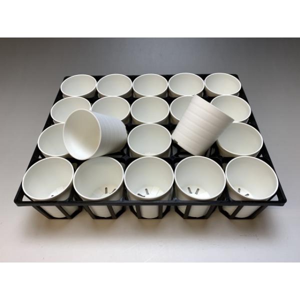 fseguchi_fse-t75b20-2saw