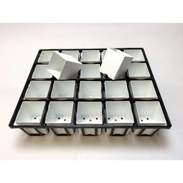 fseguchi_fse-t75b20-2smtw