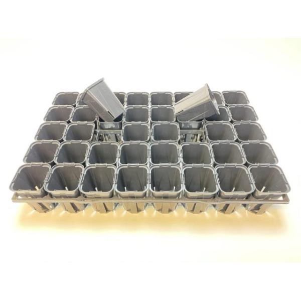 fseguchi_fse-t75b40-eg75