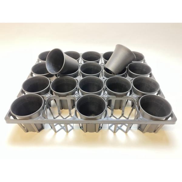 fseguchi_fse-tpb20-p30b