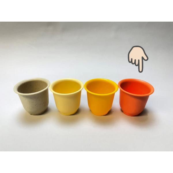厚手のプラ鉢-ふっくら2号ミニ【オレンジ】(橙) : フラワーショップ