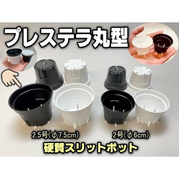プラ鉢リエール必殺鉢【A-25S】200個 丸スリット鉢プレステラ多肉植物アガベ プラ鉢リエール必殺鉢【A-25S】20個 丸スリット鉢プレステラ多肉