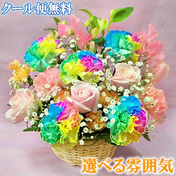 翌日 翌々日配達13時まで レインボー カーネーション 5本 アレンジメント 送料無料 そのまま飾れる プレゼント 生花 女性 誕生日 記念日 虹色 かご 夫婦の日 Reikane5are 花ことばヤフー店 通販 Yahoo ショッピング