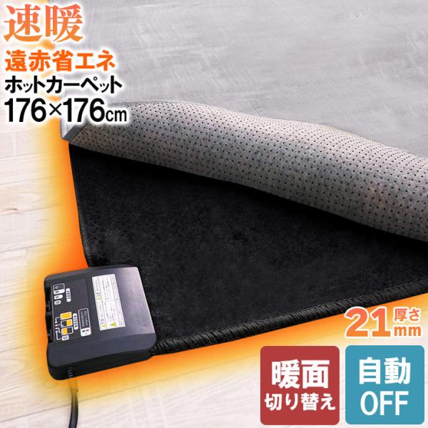 広電（KODEN） ふかふか遠赤省エネ電気カーペット 176×176 ホット