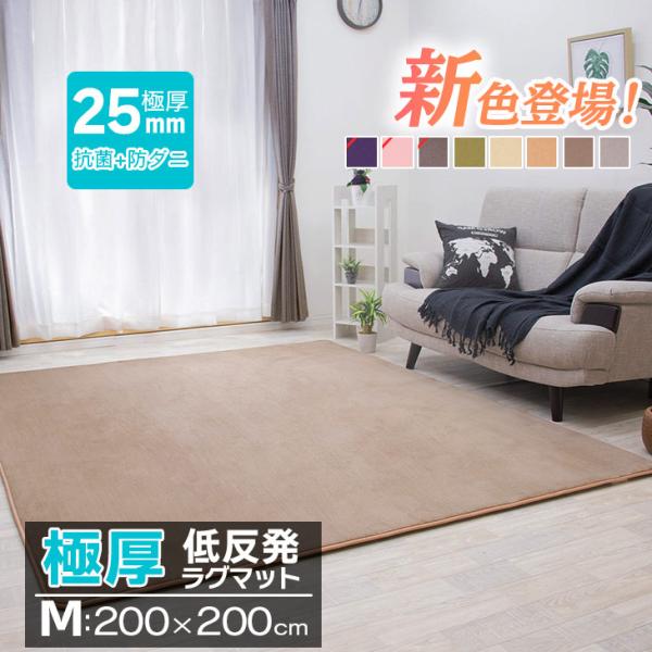 ラグ カーペット 厚手 低反発ラグ 極厚 25mm 200×200 ラグマット オールシーズン 秋 冬  防音 絨毯 おしゃれ 抗菌 防ダニ フリーリー