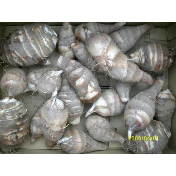 Yahoo Product Detail