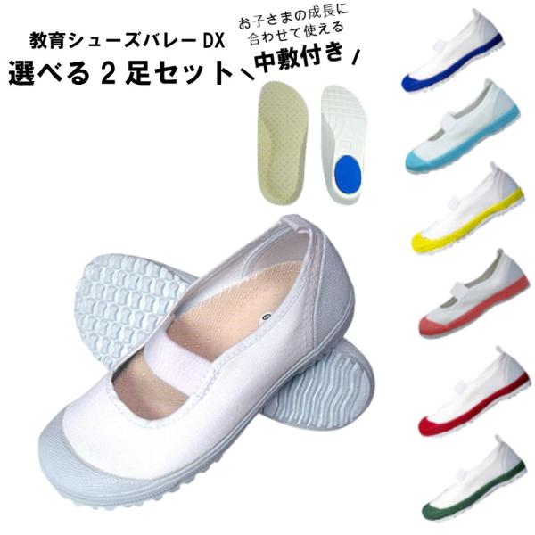 y܂̑㗚zy2Zbgz o[DX V[Y  O wZ 㗚  V[Y ̈ V[Y qp WjA LbY