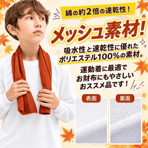 T�V���c �L�b�Y ������ �h���CT�V���c ���� �h���C �q���h���C �|���G�X�e�� �̈畞 �̑��� �� ���w�� ���� �ʔ� �w���� �V���c �^���� �ʊw�p ���w�� �p�W���} ���i�摜3