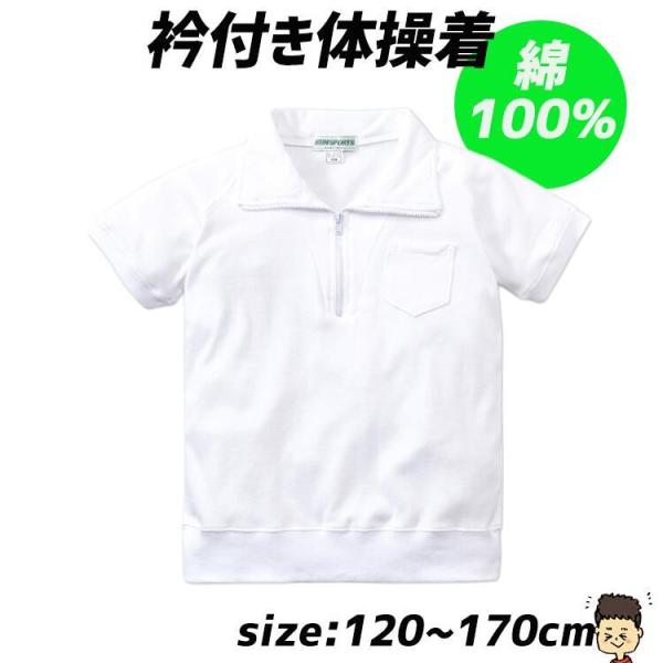 100% ̈畞 ̑  (ܕtOt@Xi[^Cv) w wZ  ʔ w  Vc ^ ʊwp w wZp ʔ y12200z