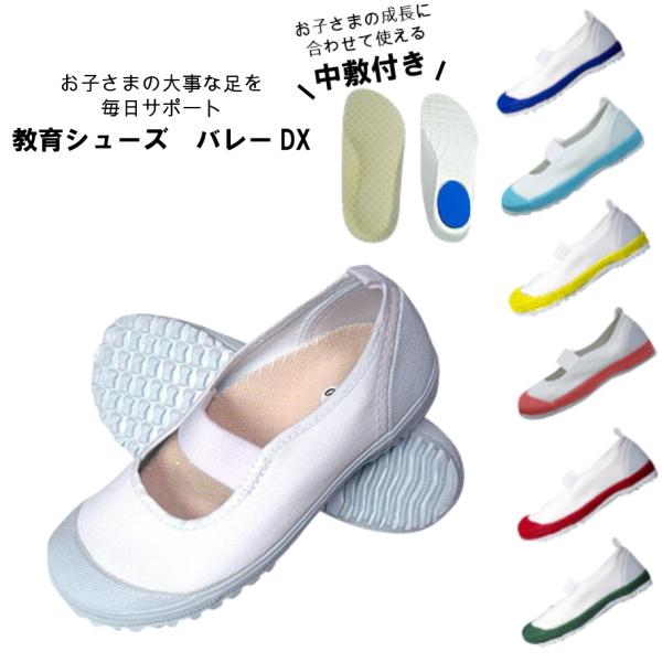 y܂̑㗚z o[fbNX V[Y  O wZ 㗚  V[Y ̈ qp WjA LbY C