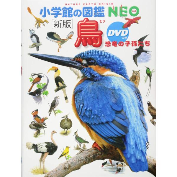 小学館の図鑑NEO〔新版〕 鳥 恐竜の子孫たち DVDつき』 監/上田恵介 著